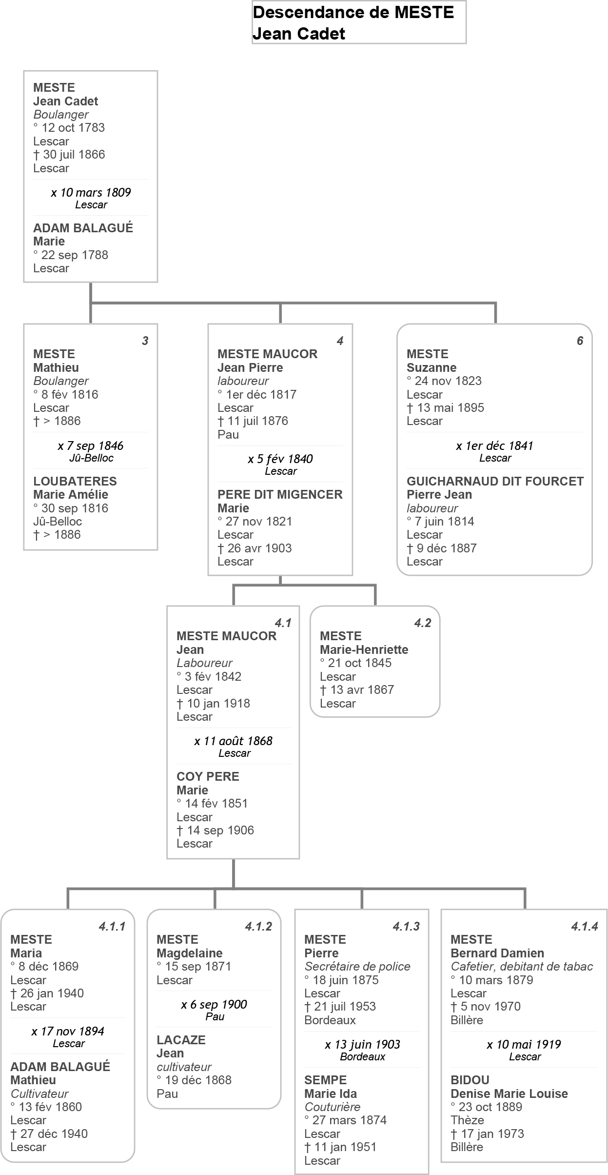 Arbre de la famille Meste de Lescar